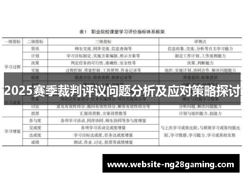 2025赛季裁判评议问题分析及应对策略探讨