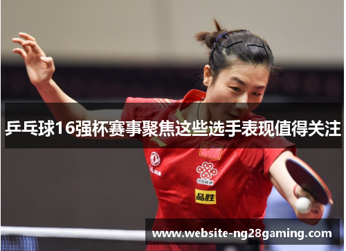 乒乓球16强杯赛事聚焦这些选手表现值得关注