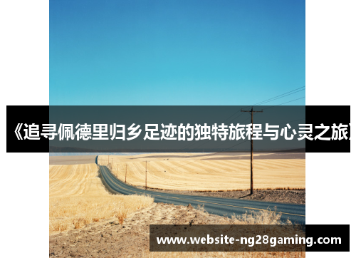 《追寻佩德里归乡足迹的独特旅程与心灵之旅》