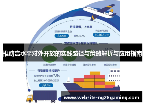 推动高水平对外开放的实践路径与策略解析与应用指南