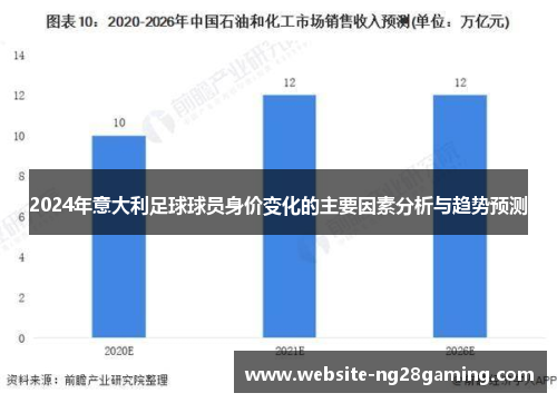 2024年意大利足球球员身价变化的主要因素分析与趋势预测