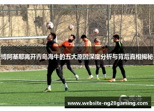 博阿基耶离开青岛海牛的五大原因深度分析与背后真相揭秘