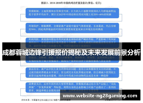 成都蓉城边锋引援报价揭秘及未来发展前景分析