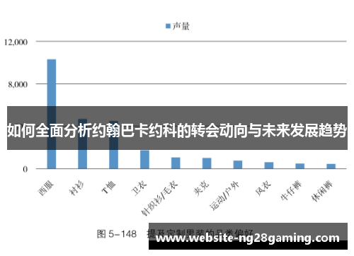 如何全面分析约翰巴卡约科的转会动向与未来发展趋势