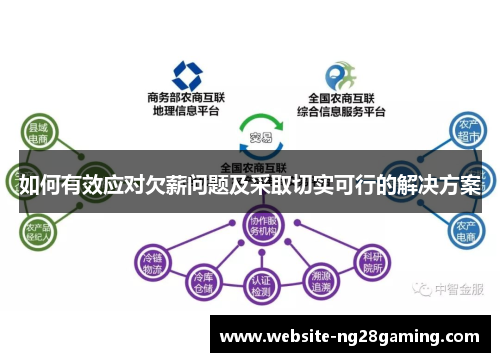 如何有效应对欠薪问题及采取切实可行的解决方案
