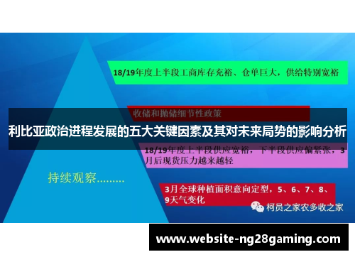 利比亚政治进程发展的五大关键因素及其对未来局势的影响分析