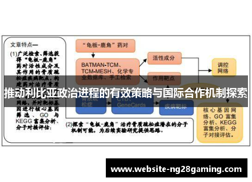 推动利比亚政治进程的有效策略与国际合作机制探索