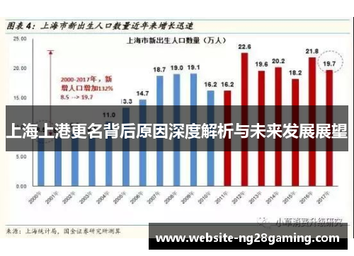 上海上港更名背后原因深度解析与未来发展展望