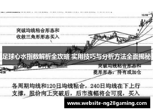 足球心水指数解析全攻略 实用技巧与分析方法全面揭秘 足球心水指数解析全攻略 实用技巧与分析方法全面揭秘