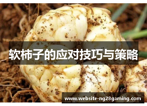 软柿子的应对技巧与策略 软柿子的应对技巧与策略