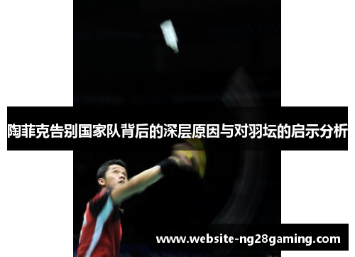 陶菲克告别国家队背后的深层原因与对羽坛的启示分析 陶菲克告别国家队背后的深层原因与对羽坛的启示分析