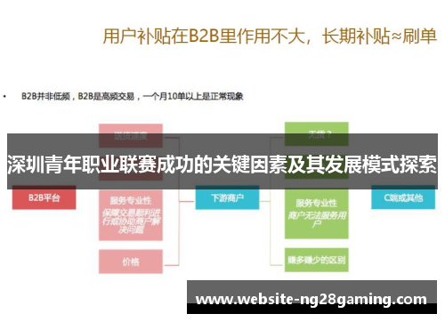 深圳青年职业联赛成功的关键因素及其发展模式探索