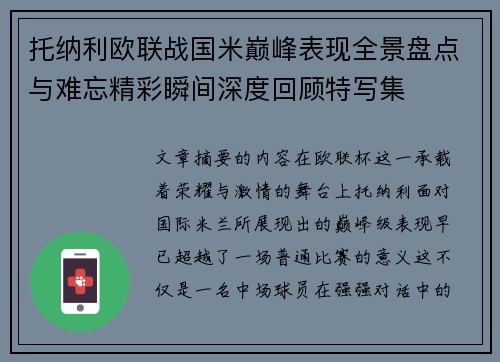 托纳利欧联战国米巅峰表现全景盘点与难忘精彩瞬间深度回顾特写集