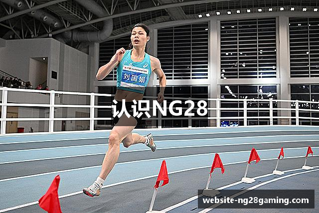 认识NG28